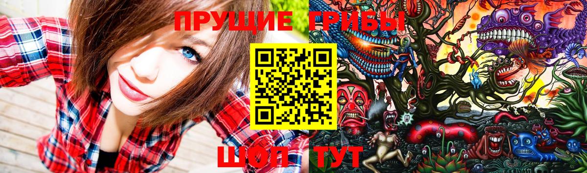 Галлюциногенные грибы GOLDEN TEACHER Ухта
