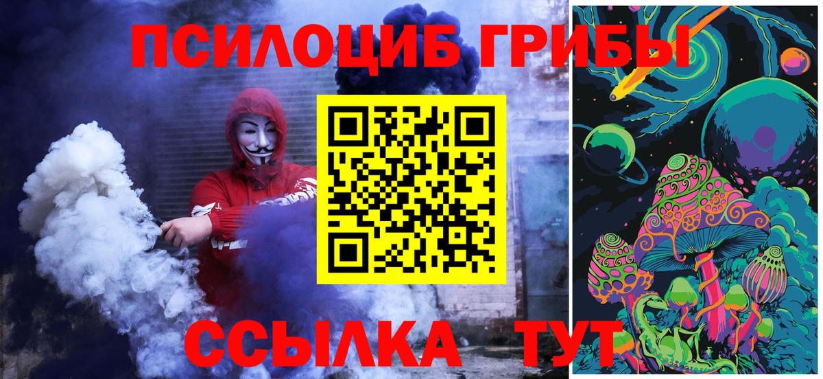 Ухта  Псилоцибиновые грибы Psilocybine cubensis  Псилоцибиновые грибы мухоморы  Вход с VPN 